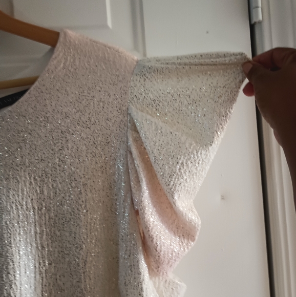 Lane Bryant Sparkle Dress. Size 24 - Picture 9 of 13